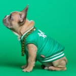 The Paradox of being First by Thomas Day